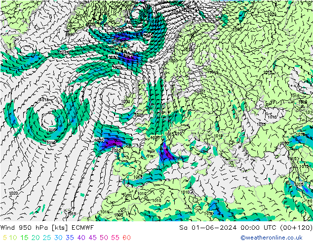 wiatr 950 hPa ECMWF so. 01.06.2024 00 UTC