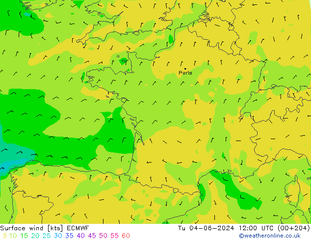 Wind 10 m ECMWF di 04.06.2024 12 UTC