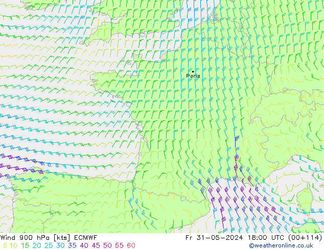 Wind 900 hPa ECMWF Fr 31.05.2024 18 UTC