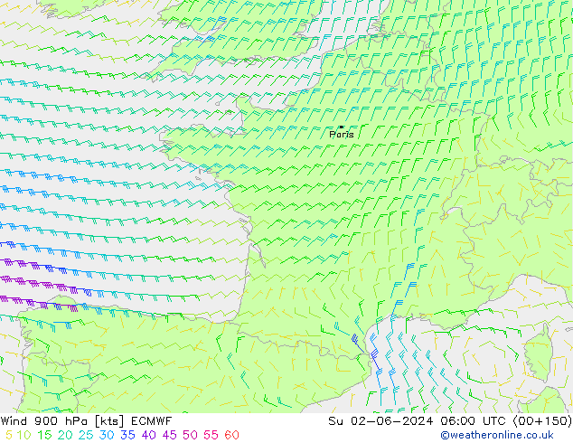 ветер 900 гПа ECMWF Вс 02.06.2024 06 UTC