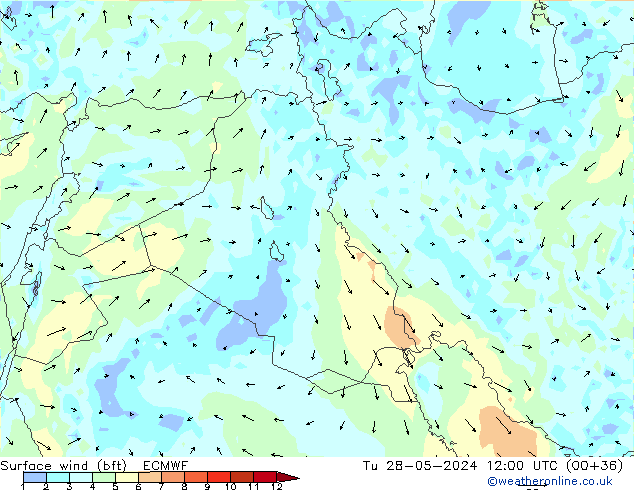 Vento 10 m (bft) ECMWF Ter 28.05.2024 12 UTC