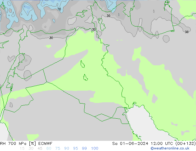 Humedad rel. 700hPa ECMWF sáb 01.06.2024 12 UTC