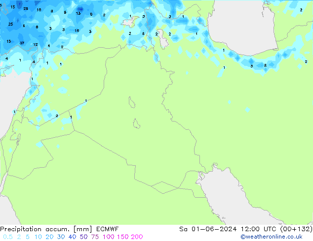 Toplam Yağış ECMWF Cts 01.06.2024 12 UTC