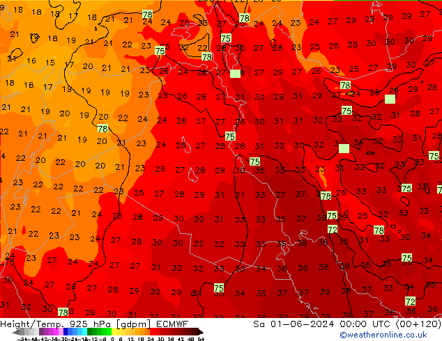 Yükseklik/Sıc. 925 hPa ECMWF Cts 01.06.2024 00 UTC