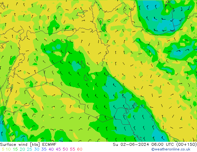 Vent 10 m ECMWF dim 02.06.2024 06 UTC