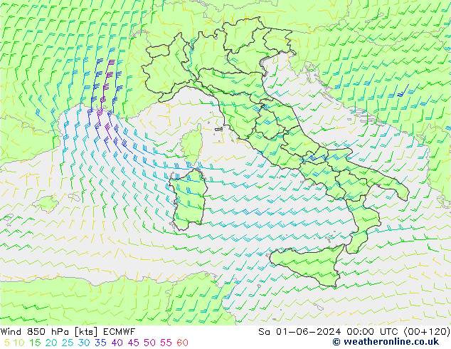 Wind 850 hPa ECMWF So 01.06.2024 00 UTC