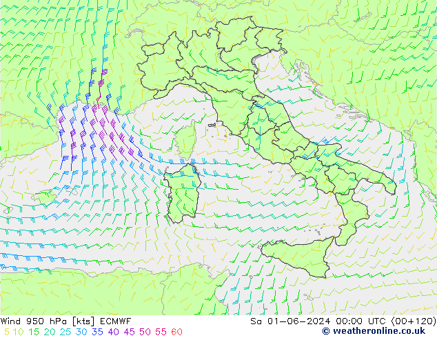 Wind 950 hPa ECMWF So 01.06.2024 00 UTC