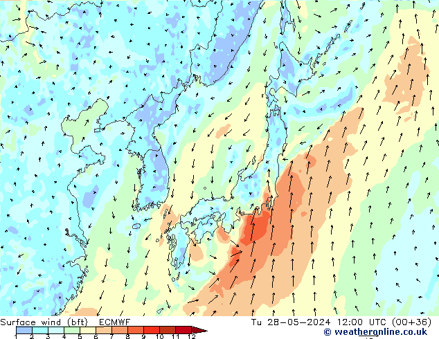 Surface wind (bft) ECMWF Tu 28.05.2024 12 UTC