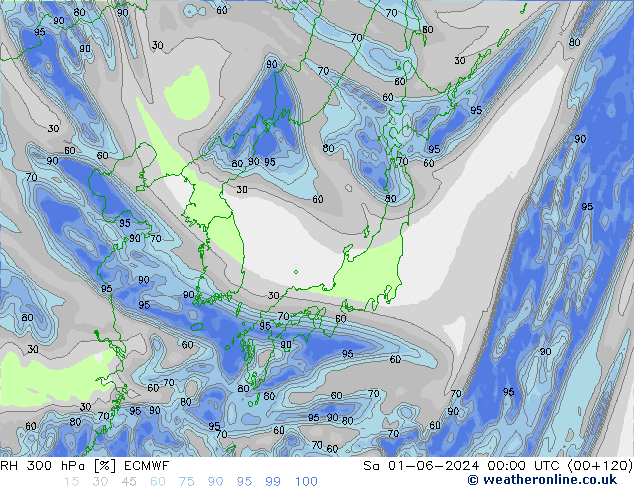 RH 300 hPa ECMWF So 01.06.2024 00 UTC