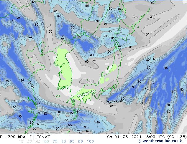 RH 300 hPa ECMWF Sáb 01.06.2024 18 UTC