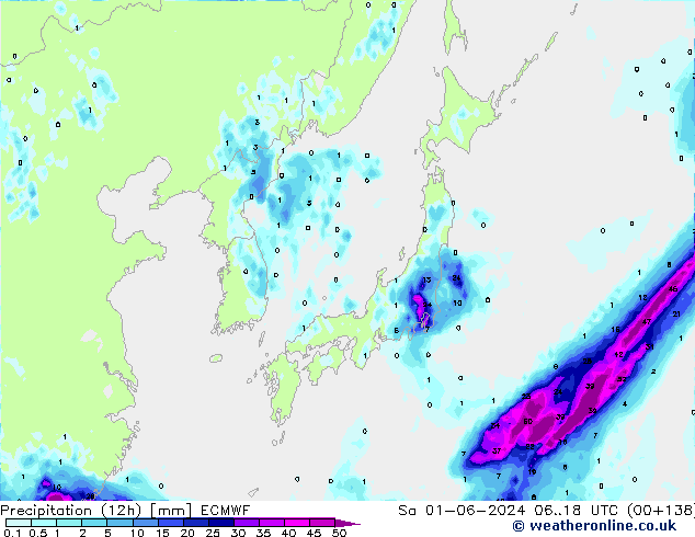 Precipitação (12h) ECMWF Sáb 01.06.2024 18 UTC