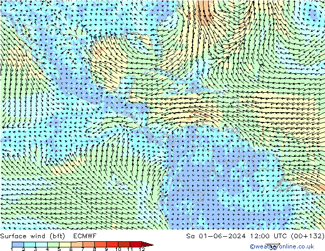 Surface wind (bft) ECMWF Sa 01.06.2024 12 UTC