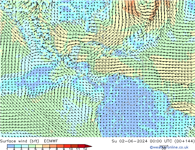 Bodenwind (bft) ECMWF So 02.06.2024 00 UTC