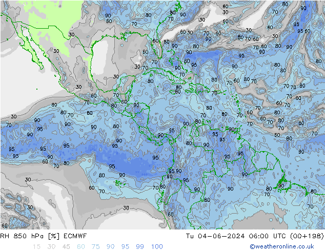 RH 850 гПа ECMWF вт 04.06.2024 06 UTC