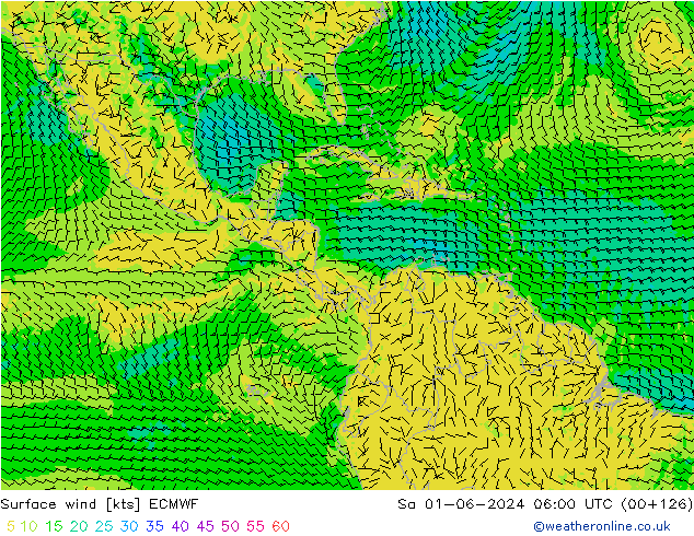 Vent 10 m ECMWF sam 01.06.2024 06 UTC