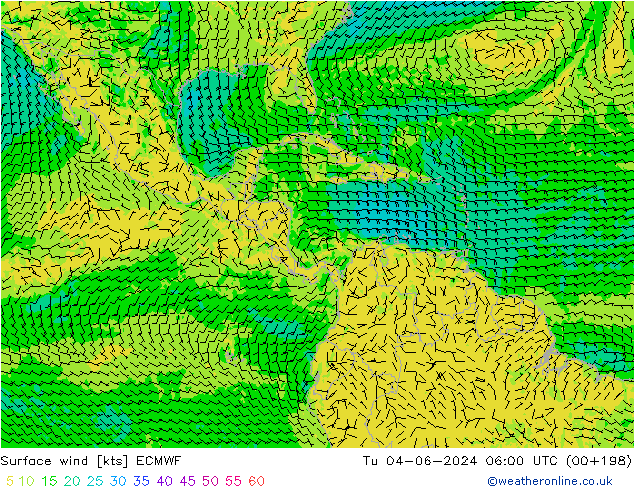 Surface wind ECMWF Tu 04.06.2024 06 UTC