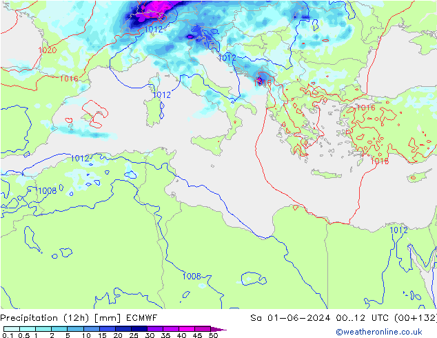 Yağış (12h) ECMWF Cts 01.06.2024 12 UTC