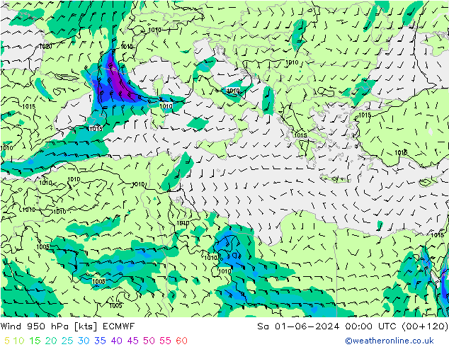 Wind 950 hPa ECMWF So 01.06.2024 00 UTC