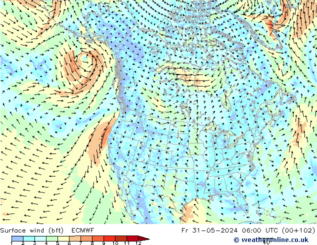 Bodenwind (bft) ECMWF Fr 31.05.2024 06 UTC