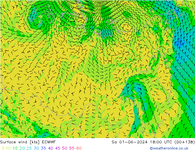 Wind 10 m ECMWF za 01.06.2024 18 UTC