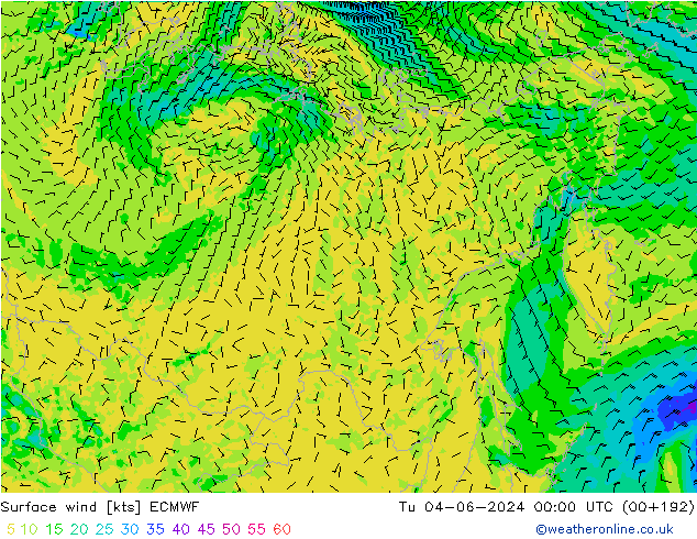 ветер 10 m ECMWF вт 04.06.2024 00 UTC
