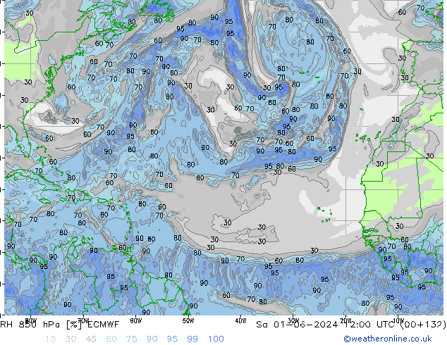 RH 850 гПа ECMWF сб 01.06.2024 12 UTC