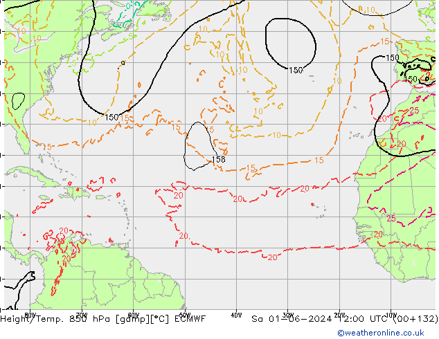 Height/Temp. 850 гПа ECMWF сб 01.06.2024 12 UTC