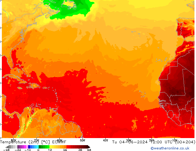 Temperatura (2m) ECMWF mar 04.06.2024 12 UTC