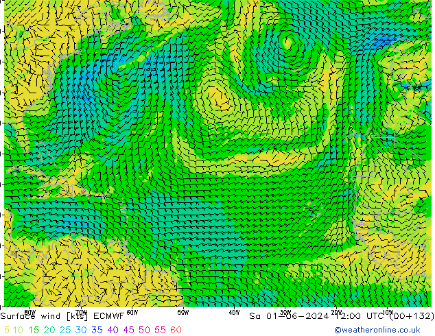 ветер 10 m ECMWF сб 01.06.2024 12 UTC