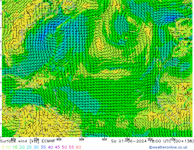 Wind 10 m ECMWF za 01.06.2024 18 UTC