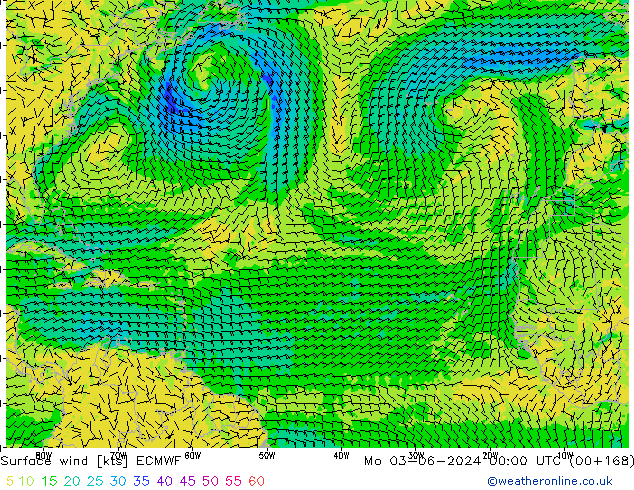 Bodenwind ECMWF Mo 03.06.2024 00 UTC