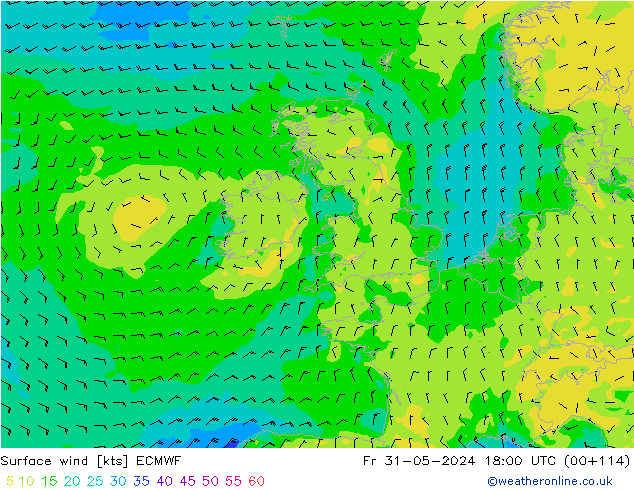 Surface wind ECMWF Fr 31.05.2024 18 UTC