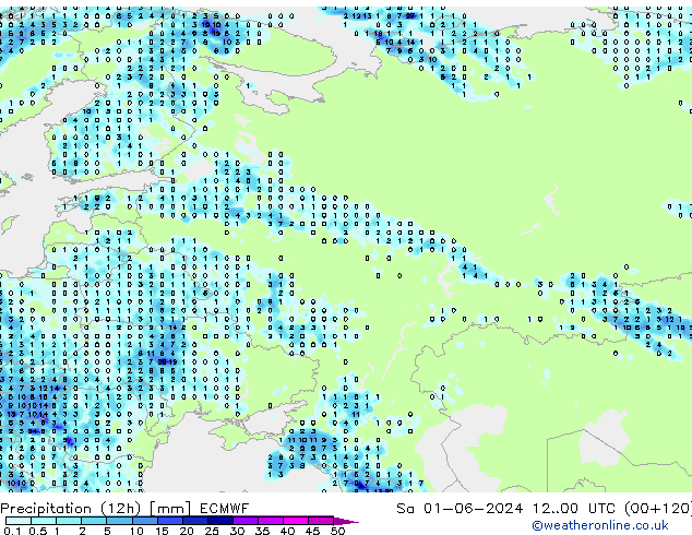 Totale neerslag (12h) ECMWF za 01.06.2024 00 UTC