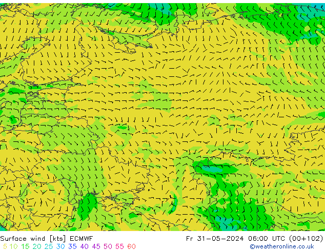 wiatr 10 m ECMWF pt. 31.05.2024 06 UTC