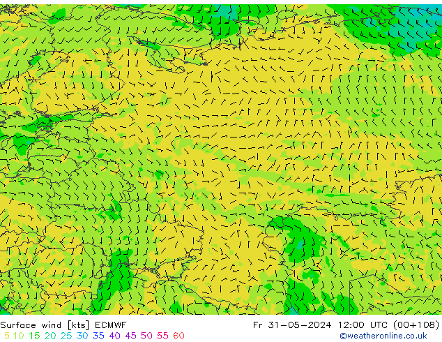 Surface wind ECMWF Pá 31.05.2024 12 UTC