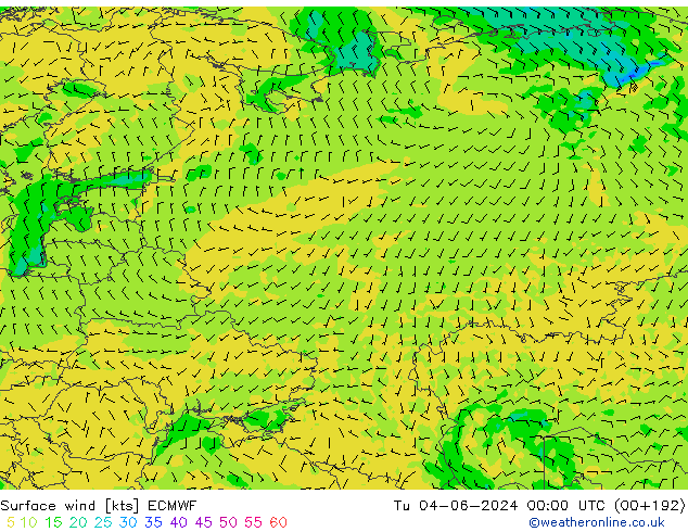 ветер 10 m ECMWF вт 04.06.2024 00 UTC