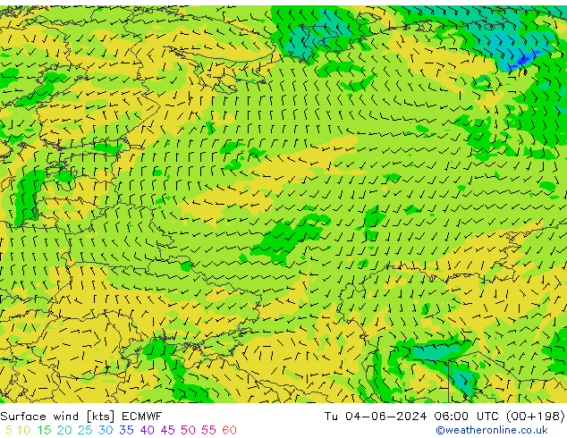 Surface wind ECMWF Út 04.06.2024 06 UTC