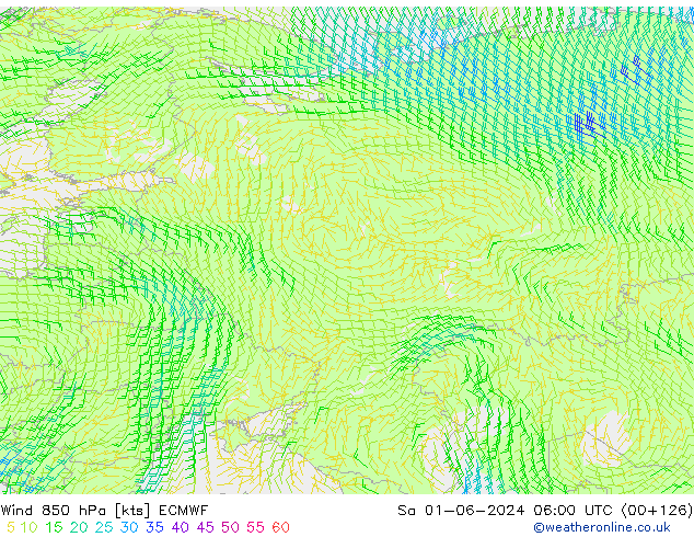 ветер 850 гПа ECMWF сб 01.06.2024 06 UTC