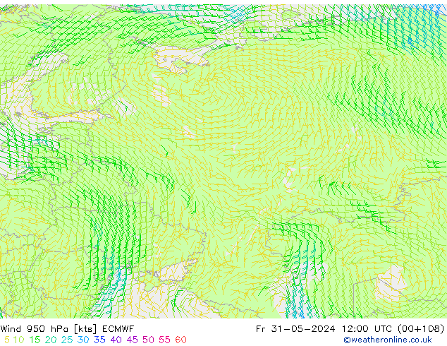 wiatr 950 hPa ECMWF pt. 31.05.2024 12 UTC