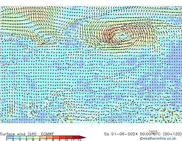 Rüzgar 10 m (bft) ECMWF Cts 01.06.2024 00 UTC