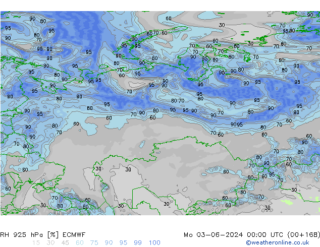 925 hPa Nispi Nem ECMWF Pzt 03.06.2024 00 UTC