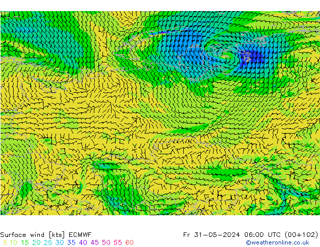 Bodenwind ECMWF Fr 31.05.2024 06 UTC