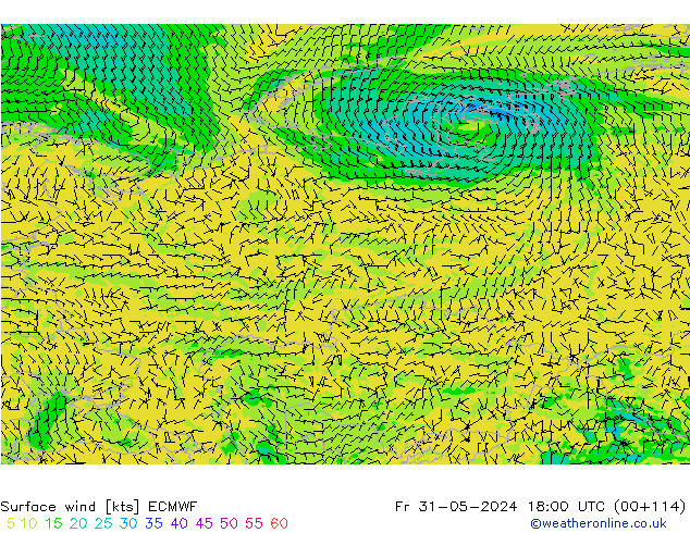 Surface wind ECMWF Fr 31.05.2024 18 UTC