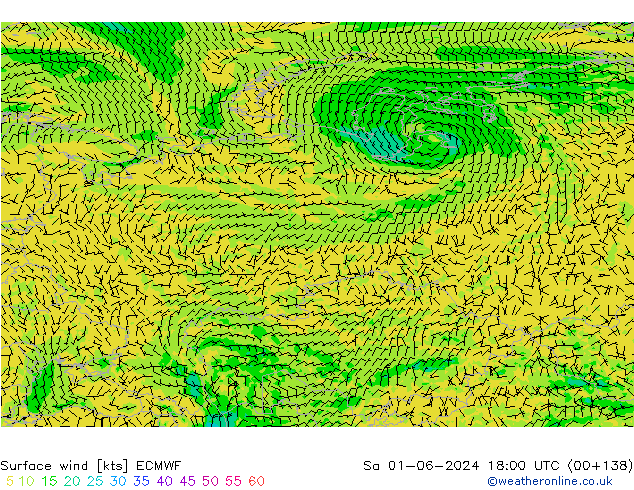 Surface wind ECMWF Sa 01.06.2024 18 UTC