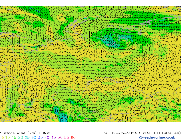 Bodenwind ECMWF So 02.06.2024 00 UTC