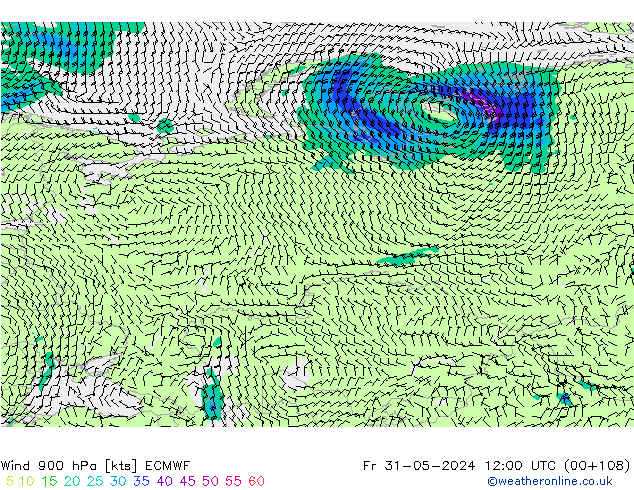 Wind 900 hPa ECMWF Fr 31.05.2024 12 UTC