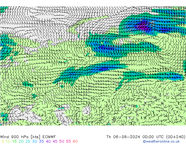 ветер 900 гПа ECMWF чт 06.06.2024 00 UTC