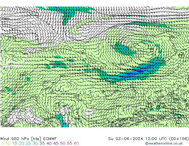 Rüzgar 950 hPa ECMWF Paz 02.06.2024 12 UTC