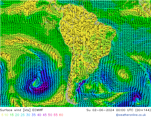 Bodenwind ECMWF So 02.06.2024 00 UTC