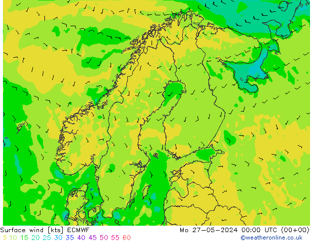 ветер 10 m ECMWF пн 27.05.2024 00 UTC